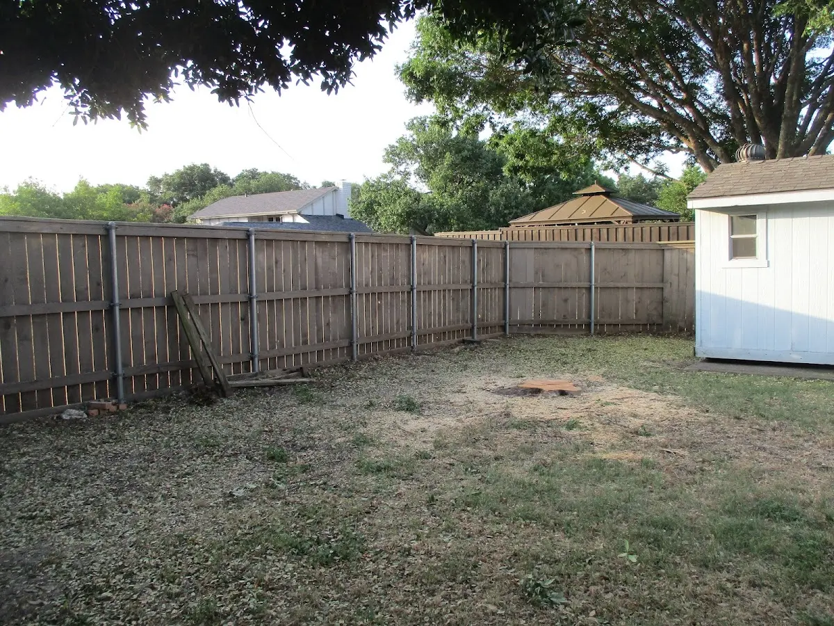 Cleared yard after professional tree removal in Ethelsville